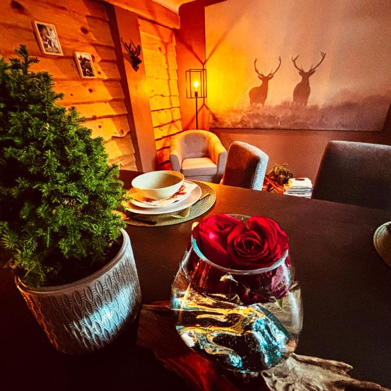 La Cabane de Marie - Appartement 1 Chambre - 13