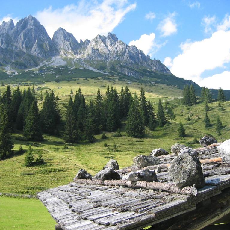 Appartementhaus Hochkönig 1 - Alpenrose - Apartment mit Balkon - 4