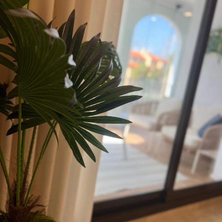 Puerto De La Duquesa - Apartamento de 2 dormitorios - 13