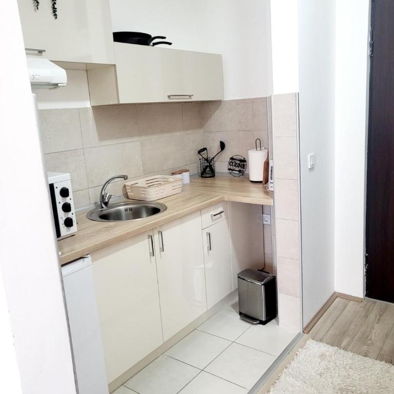 Apartman N Jagodina - Apartman sa 1 Spavaćom Sobom - 14