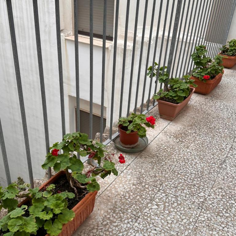 Gallipoli Lux House - Appartamento con 2 Camere da Letto - 44