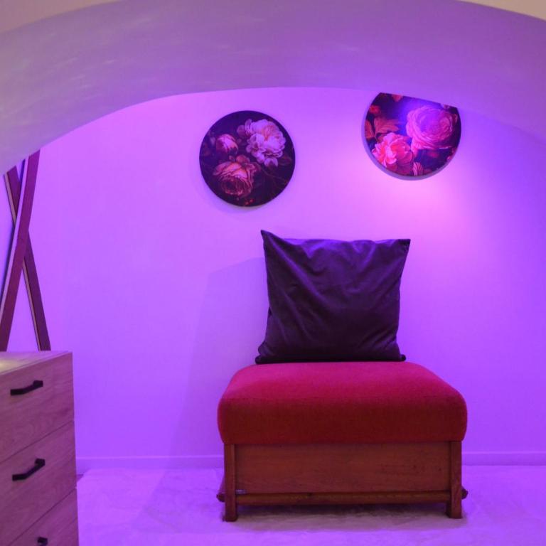 Secret room jacuzzi vieille ville Annecy - Appartement 1 Chambre - 19