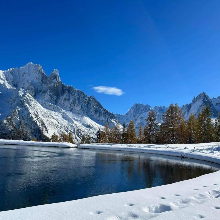 Happy Moose - Cosy Mont Blanc View apartment with sauna - Appartamento con 1 Camera da Letto - 50