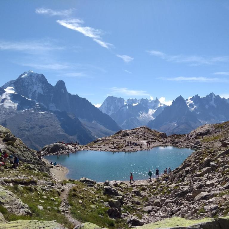 Happy Moose - Cosy Mont Blanc View apartment with sauna - Appartamento con 1 Camera da Letto - 40