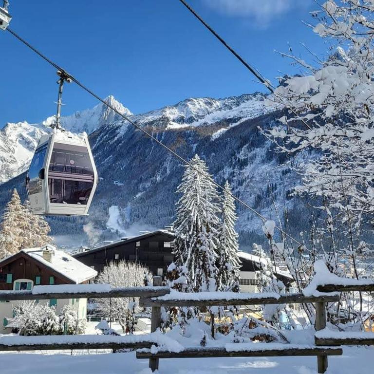 Happy Moose - Cosy Mont Blanc View apartment with sauna - Appartamento con 1 Camera da Letto - 56