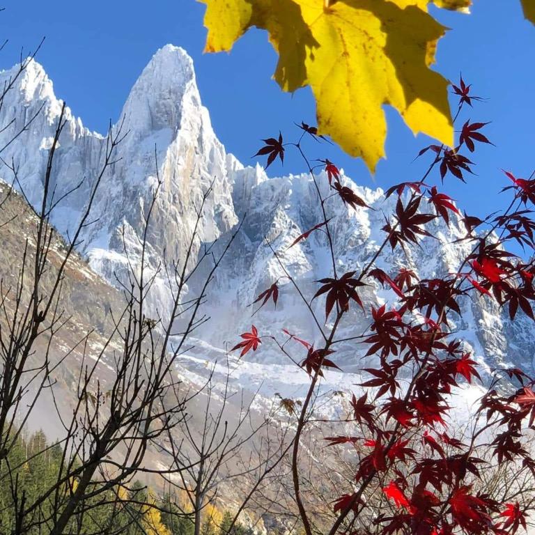 Happy Moose - Cosy Mont Blanc View apartment with sauna - Appartamento con 1 Camera da Letto - 57