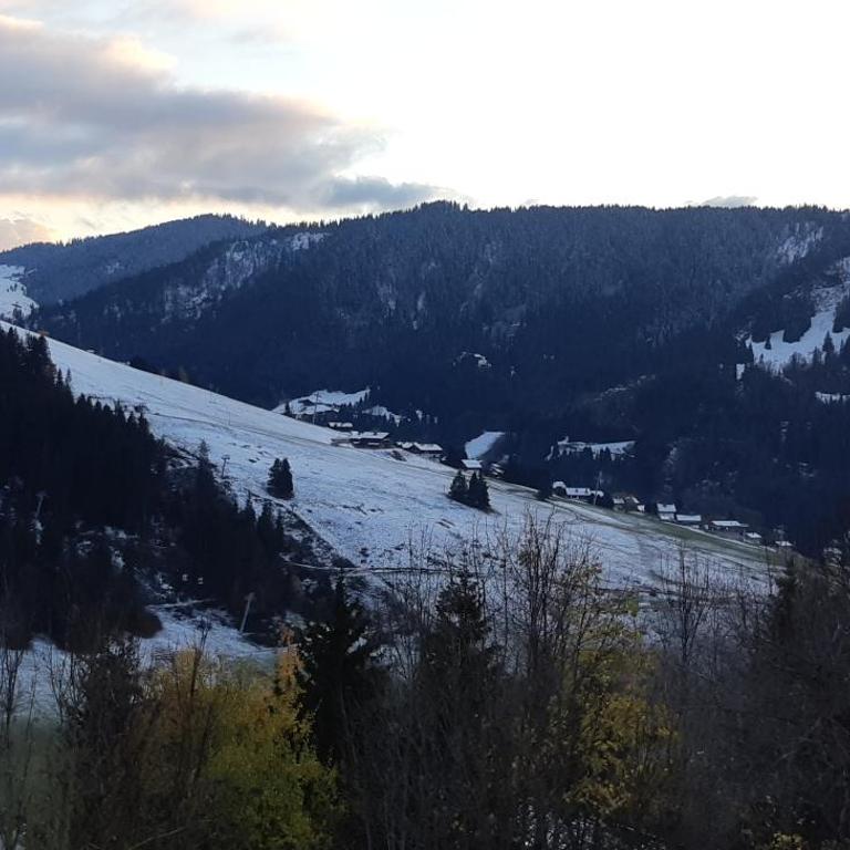 Le Soladret - La Clusaz - Vue extraordinaire sur les Aravis - 4 étoiles - Appartamento con Vista Montagna - 25