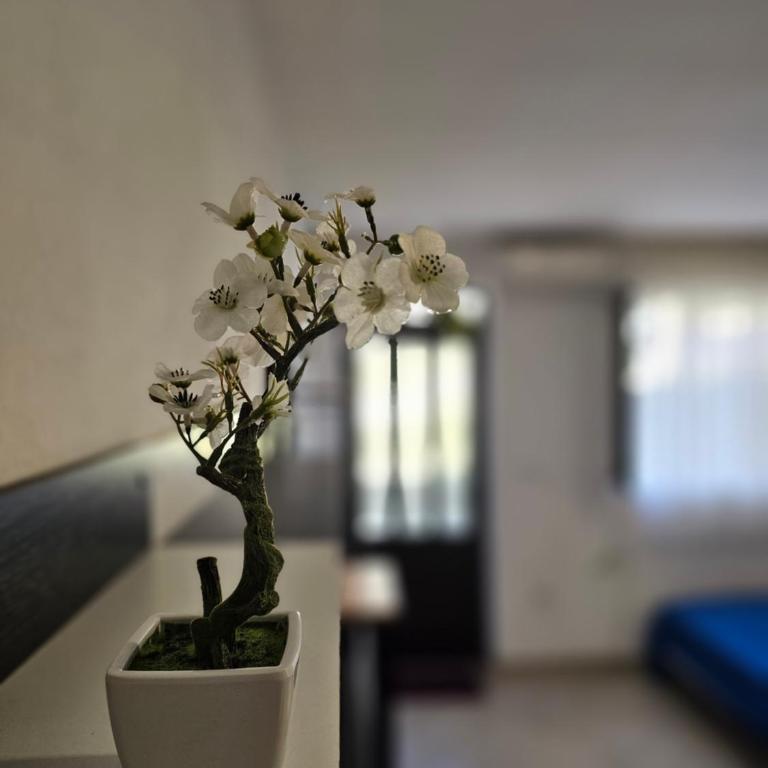 Apartment Blue Dream - One-Bedroom Apartment - 5