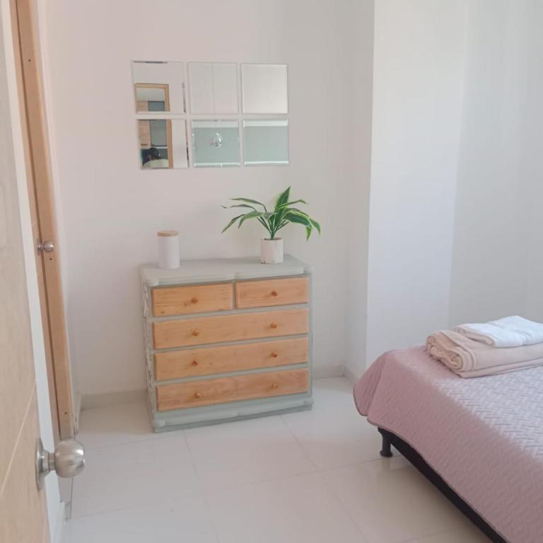 Hermoso e iluminado apartamento. - Apartamento de 3 dormitorios con balcón - 1