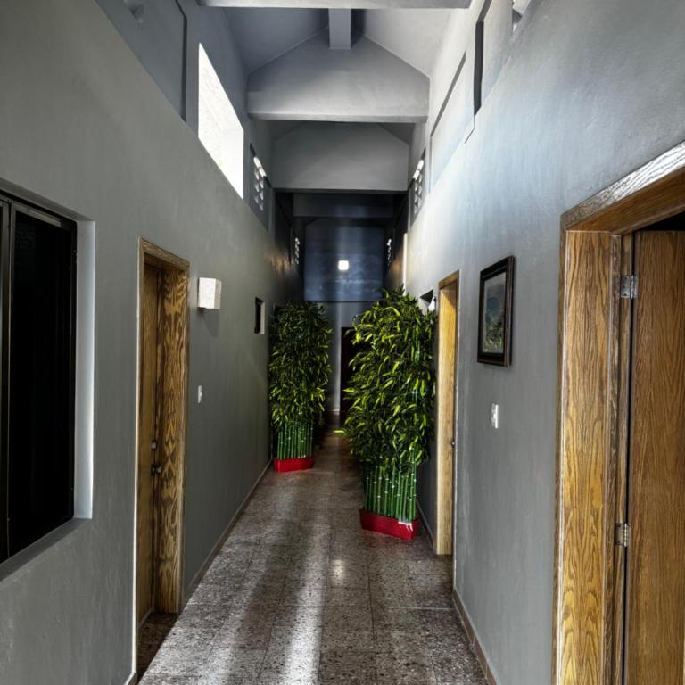 Casa Lunamar - One-Bedroom Apartment - 17