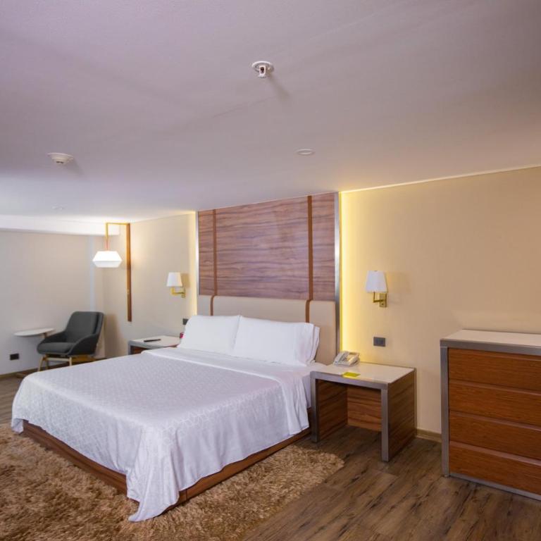 Holiday Inn Mexico Zona Centro by IHG - Habitación Estándar - Cama extragrande - 4