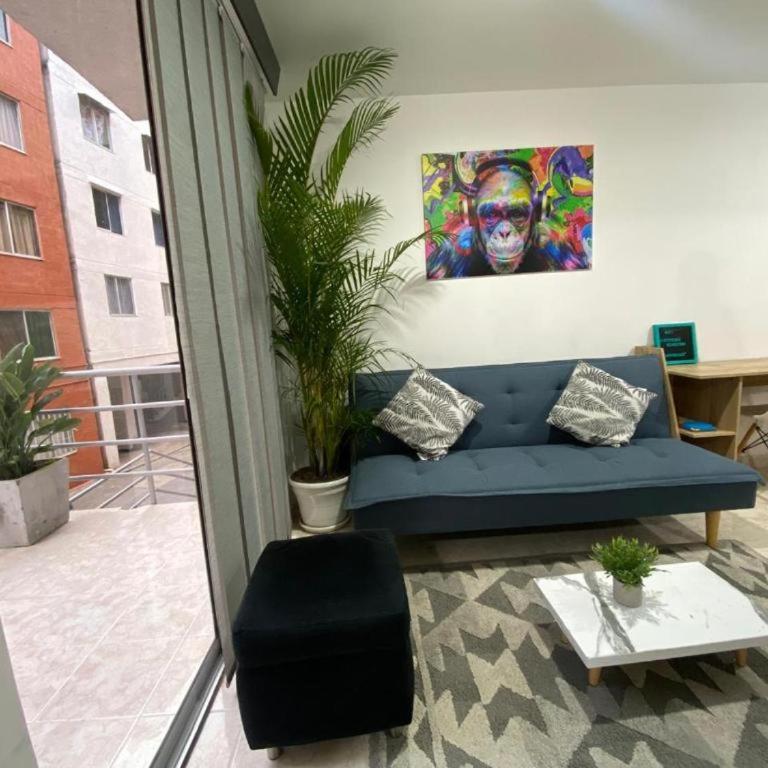 Tranquilo Apartamento - Apartamento de 2 dormitorios - 5