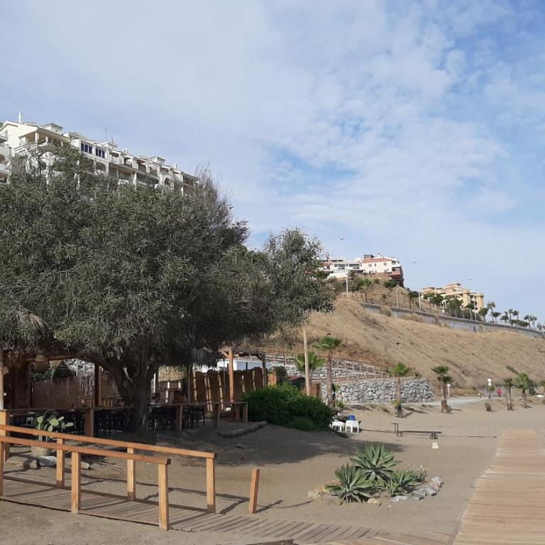 Apartamento de 2 dormitorios, gran terraza, vistas al mar junto playa Carvajal - Two-Bedroom Apartment - 55