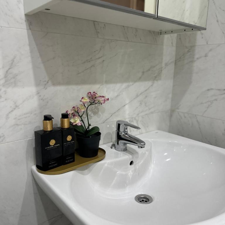 Courtoisie N8 - Apartamento de 3 dormitorios - 11
