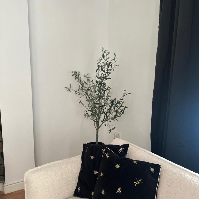 Courtoisie N8 - Apartamento de 3 dormitorios - 23