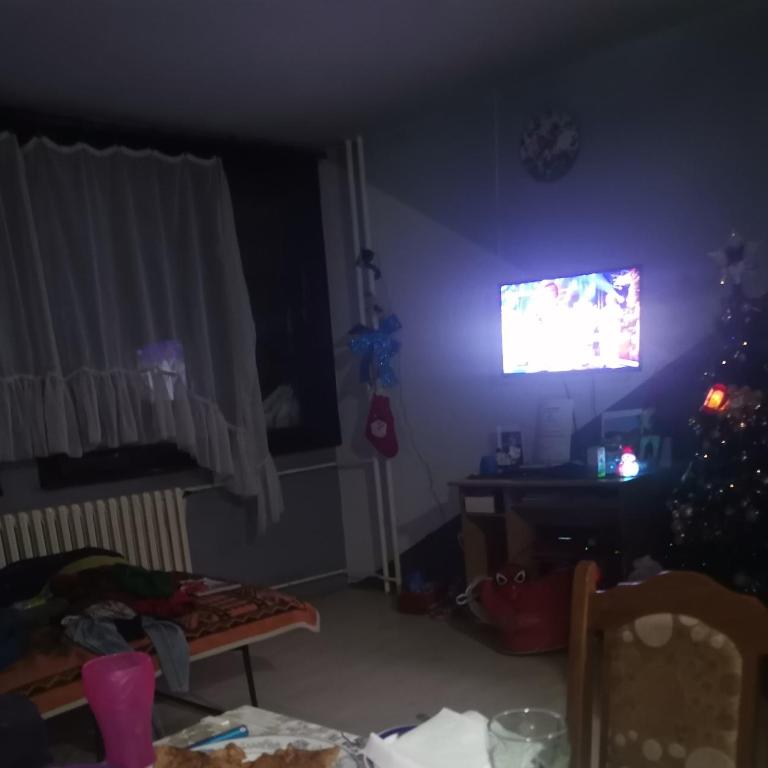 Zorana - Apartman sa 1 Spavaćom Sobom - 4