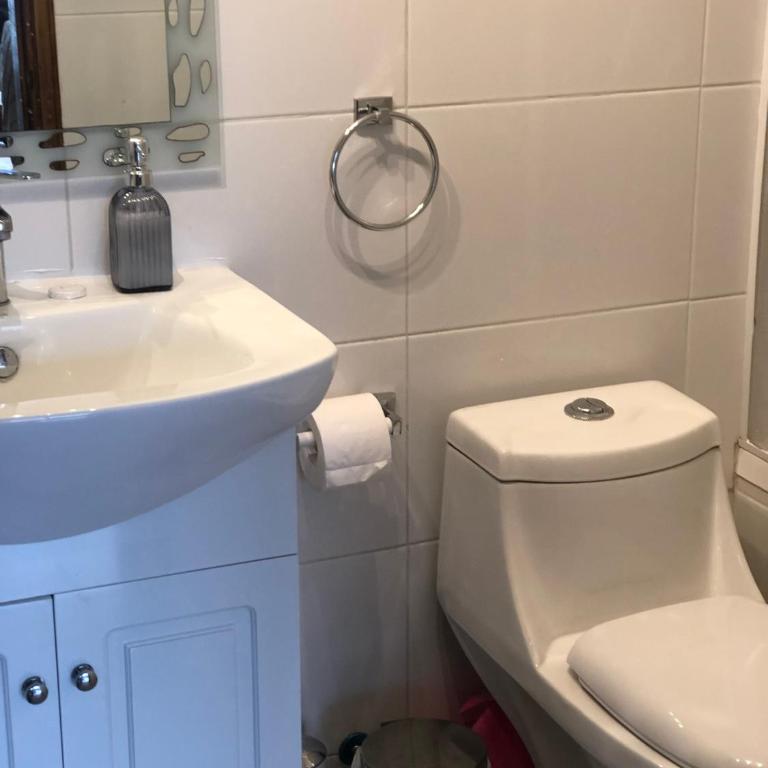 Céntrico depto en Pucón con estacionamiento y wifi - Apartamento de 2 dormitorios - 5