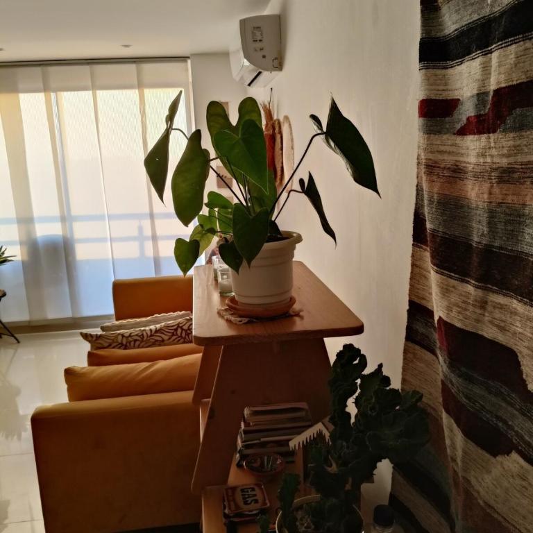 Apartamento con vista al río Magdalena Malecón del Río - Apartamento de 3 dormitorios - 36
