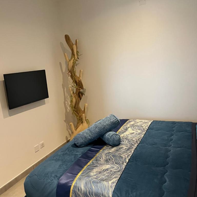 Le jardin Désiris - Logement indépendant avec jardin et parking privé - Maison 1 Chambre - 7