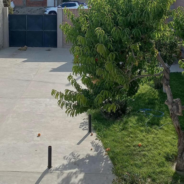 Jeleta 1 - Apartamento de 1 dormitorio - 4