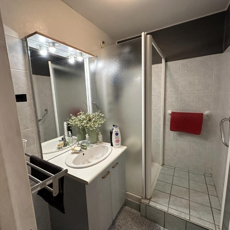 Meublé Les Dômes du Parc 6ème - Appartement 3 Chambres avec Balcon - 5