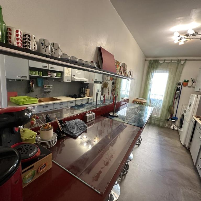 Meublé Les Dômes du Parc 6ème - Appartement 3 Chambres avec Balcon - 7