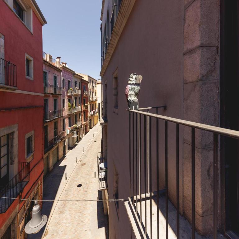 Bravissimo Portal Barca, Monthly Apartment - Apartamento Estudio - 26