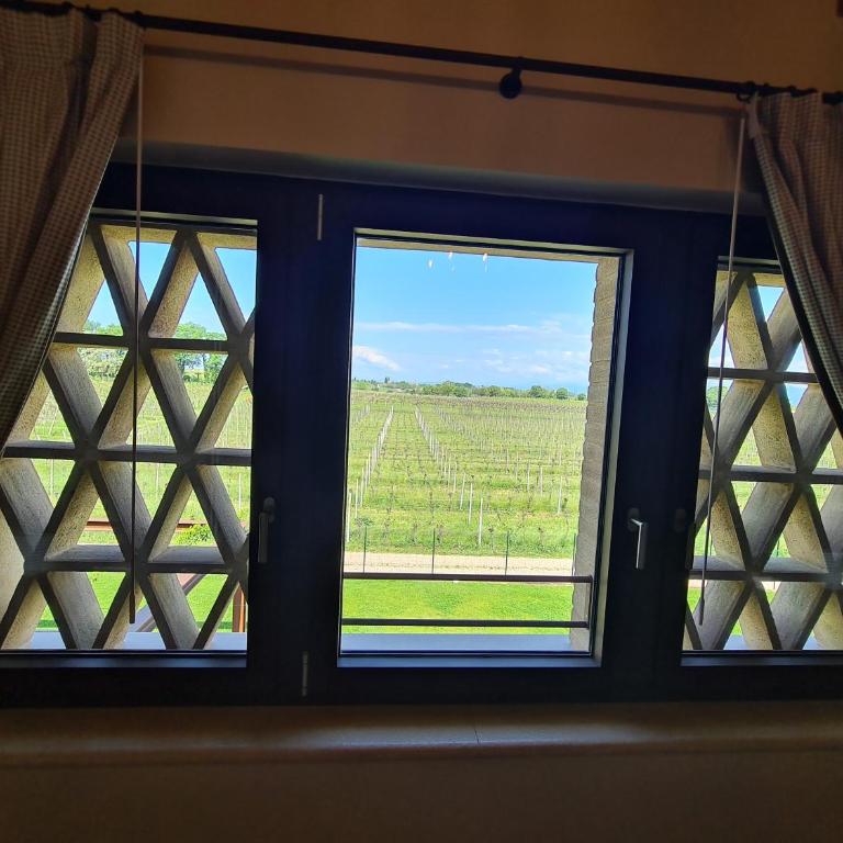 Appartamentino in az agricola Le vigne del Moretto - Appartamento con 1 Camera da Letto - 5