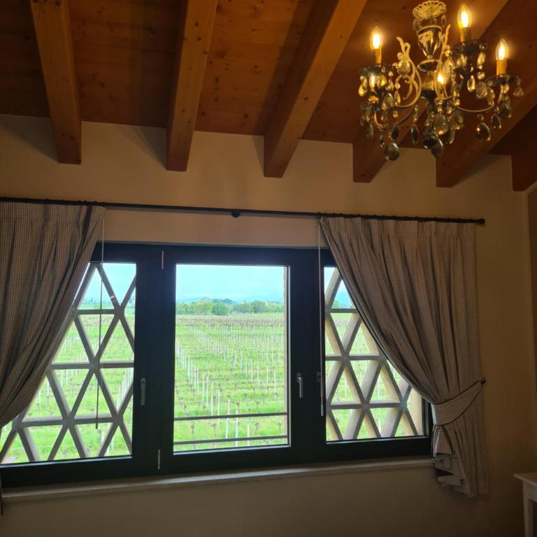 Appartamentino in az agricola Le vigne del Moretto - Appartamento con 1 Camera da Letto - 3