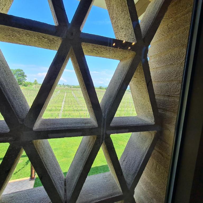 Appartamentino in az agricola Le vigne del Moretto - Appartamento con 1 Camera da Letto - 2