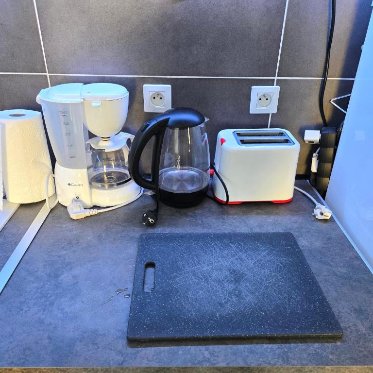 Le Guisanel - Appartement 2 Chambres - 13
