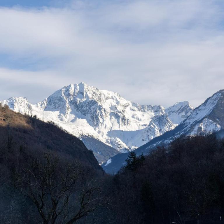 Chalet Sorbiers - Résidences Alticimes - Chalet - 45