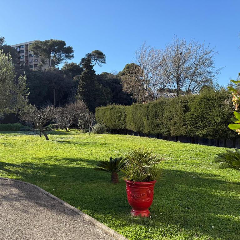 Studio tout confort au calme avec jardin proche Cannes - Appartement 1 Chambre - 30