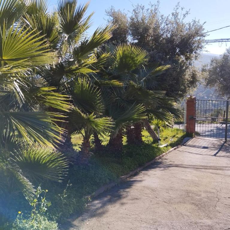 Casa delle palme - Appartamento con 2 Camere da Letto - 39