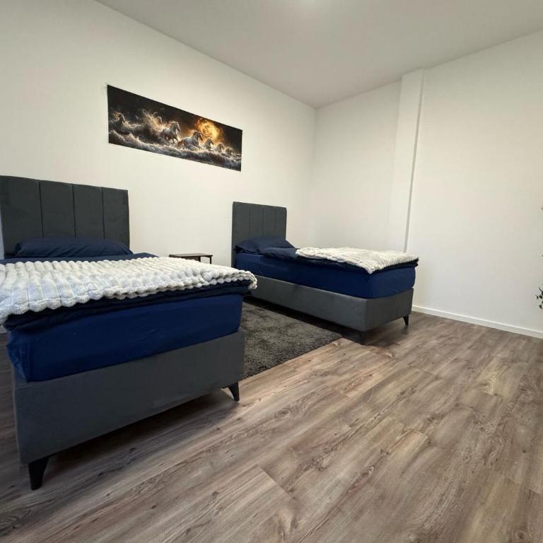 Apartments - Appartamento - 13