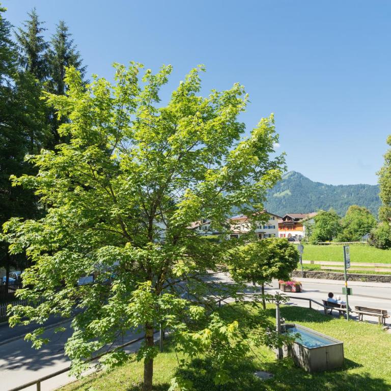 Ferienwohnungen Vollhardt - Apartment - 22