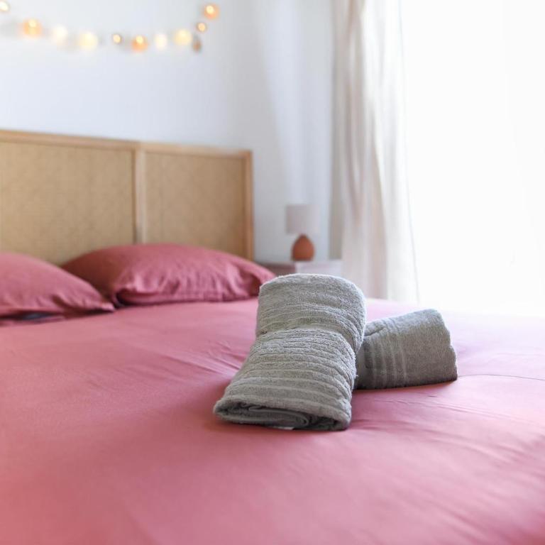 Joli T2 avec terrasse et Parking - Appartamento con 1 Camera da Letto - 15