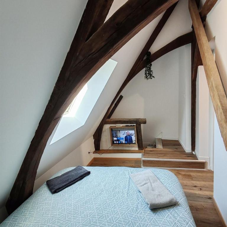 L'Hibou de la Cathédrale - Hyper Centre - Jardin - Wifi - Appartement 1 Chambre - 11