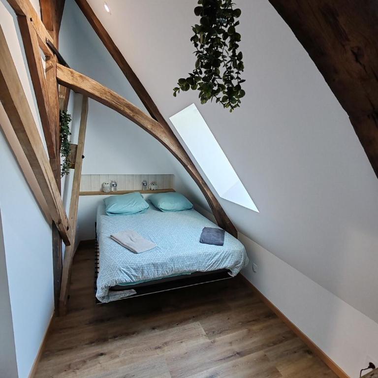 L'Hibou de la Cathédrale - Hyper Centre - Jardin - Wifi - Appartement 1 Chambre - 24