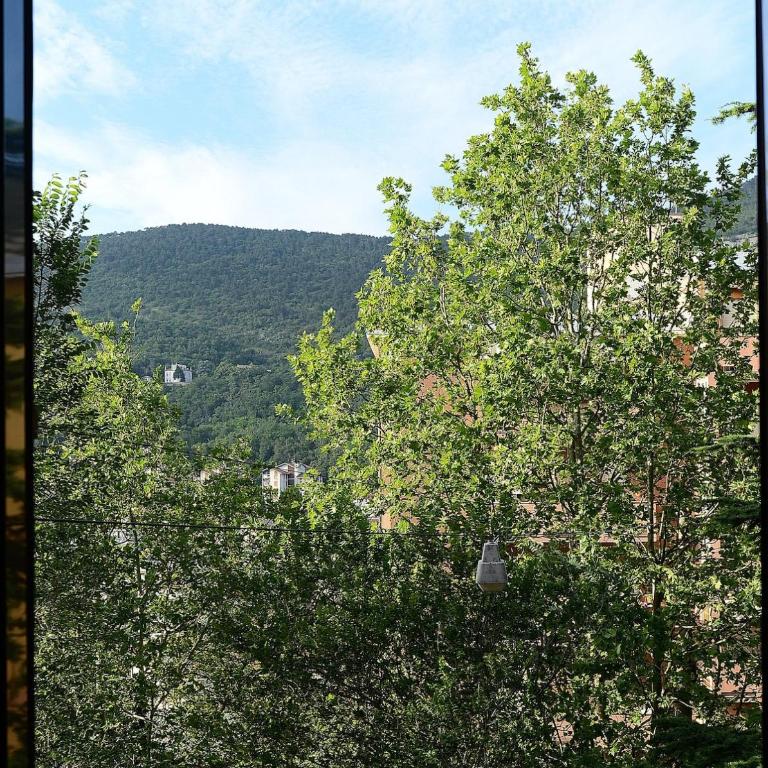 ursich casa - Appartamento con 1 Camera da Letto - 8