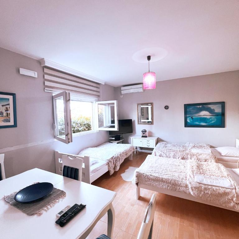 Apartments Aerodrom - Apartman sa 1 Spavaćom Sobom - 14