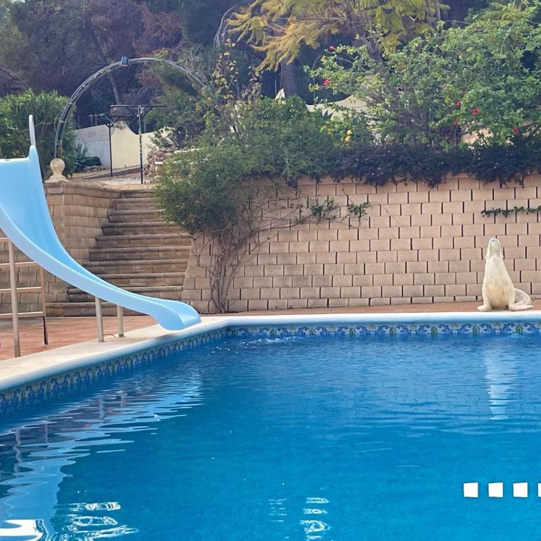 VH Costa Blanca - LLOBELLA - Villa con piscina privada - 77