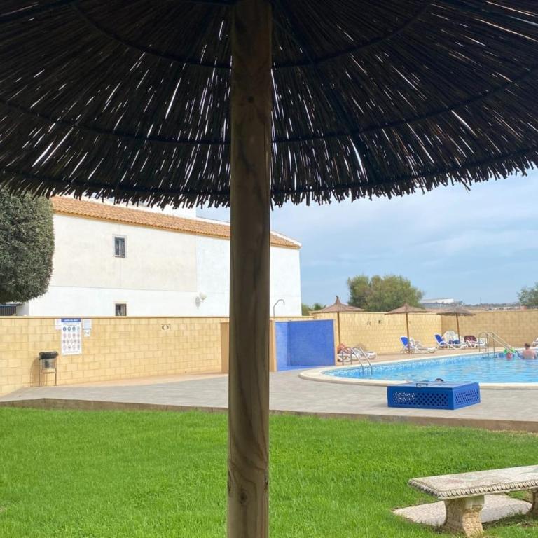 Appartment with equipped solarium barbecue and swimming pool - Apartment - 28