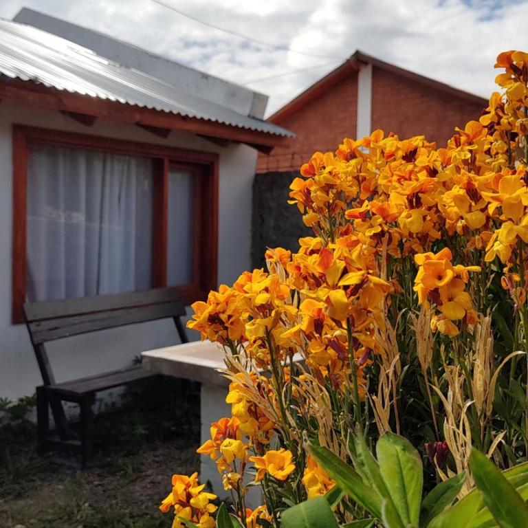 Departamentos Los Ciruelos - Apartamento de 1 dormitorio - 7