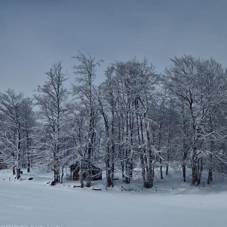 GUEST HOUSE PRIVAL.CLUB - Two-Bedroom House - 13