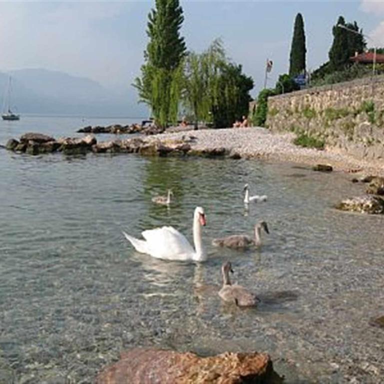 Residence Florida B5-200m dal lago, balcone, AC - Appartamento - 42