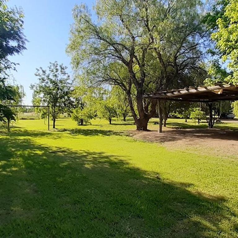 Finca El Alpataco - Casa de 4 dormitorios - 2