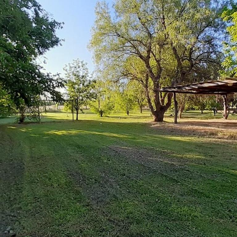 Finca El Alpataco - Casa de 4 dormitorios - 15