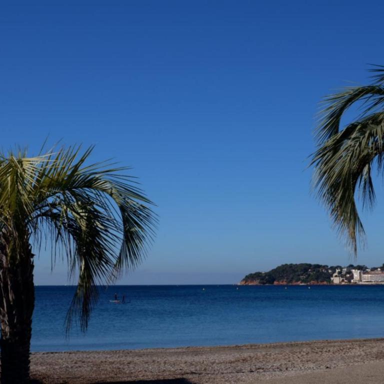 Sanary-sur-mer superbe appartement au calme - Apartment mit 1 Schlafzimmer - 14