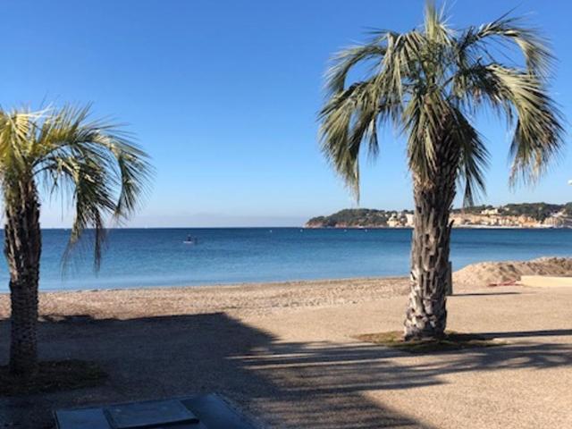 Sanary-sur-mer superbe appartement au calme - Apartment mit 1 Schlafzimmer - 24